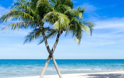 Buying a Home in Maui?
